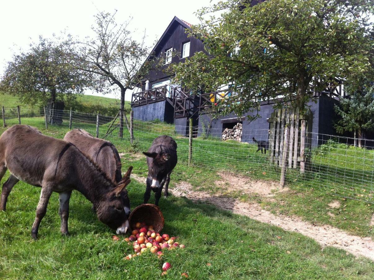 Hoeve Schoonzicht Wijlre Zewnętrze zdjęcie